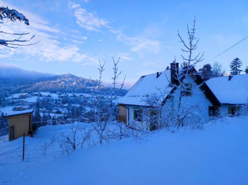 a house covered in snow on a snowy hill at Domki Wichrowe Wzgórze in Wisła