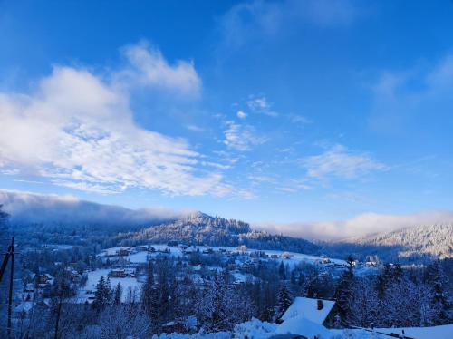 a view of a snow covered mountain with a town at Domki Wichrowe Wzgórze in Wisła