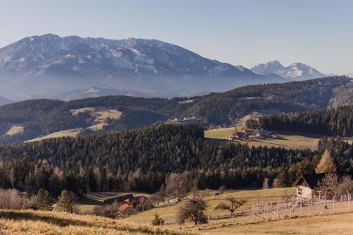 a view of a valley with mountains in the background at Studio Wild Park Panorama with Hot tub and Sauna in Tolsti Vrh pri Ravnah naKoroškem