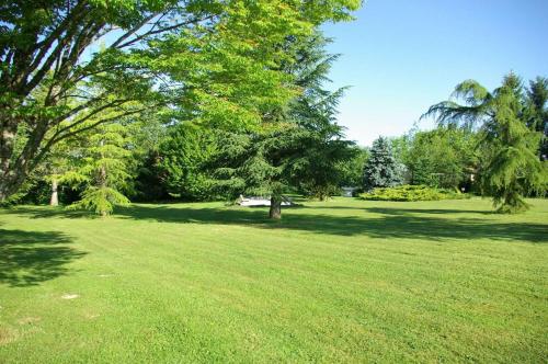a green field with trees in a park at La Roulotte du Parc in Saint-Priest-des-Champs