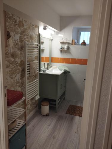 une salle de bain avec un lavabo et un miroir dans l'établissement Maison du martin pêcheur à Lannion, à Lannion