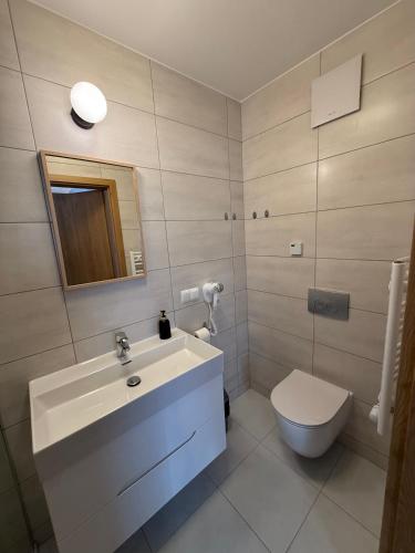 a bathroom with a sink and a toilet at Rozetka Białka in Białka Tatrzańska