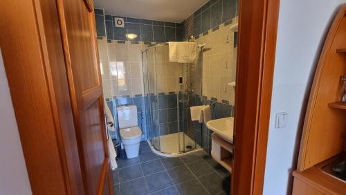 a bathroom with a shower and a toilet and a sink at Pension Rondel in Poděbrady
