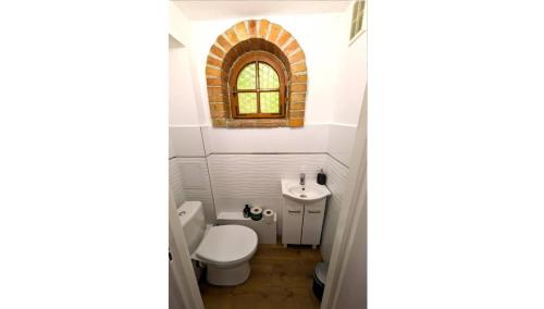 a bathroom with a toilet and a window at VIVA SOLE domek nr 8 in Skorzęcin