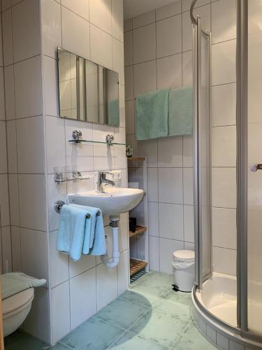 a bathroom with a sink and a shower and a toilet at Penthouse Kurz in Westendorf
