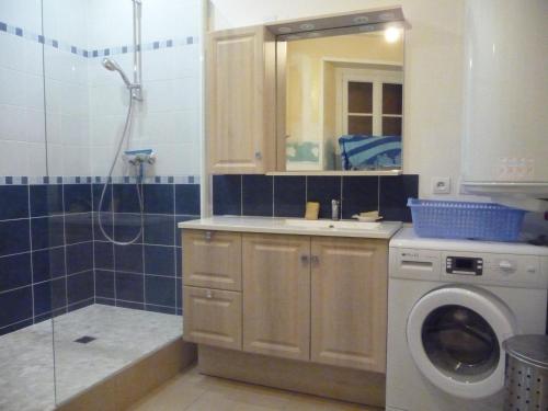 La salle de bains est pourvue d'un lave-linge et d'une douche. dans l'établissement Europe, à Mortagne-sur-Gironde