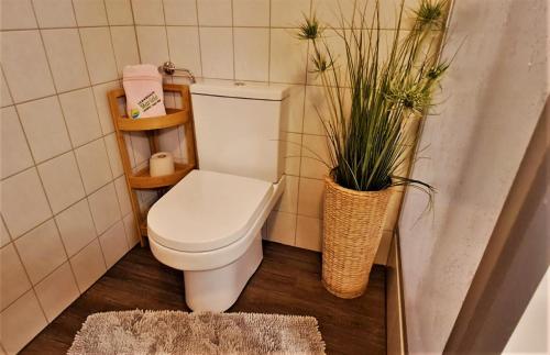 a bathroom with a toilet and two plants at Ferienhaus Mariele in Lohberg