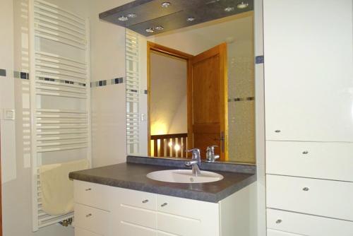 a bathroom with a sink and a mirror at Gîte Au Cœur du Sauveterre in Le Massegros