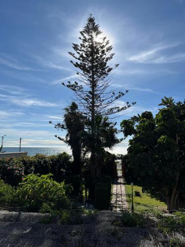 Gran Jardín frente al mar