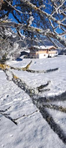 L'établissement Das Kaiserwohl Chalet en hiver