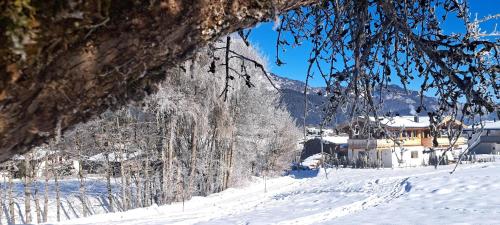 L'établissement Das Kaiserwohl Chalet en hiver