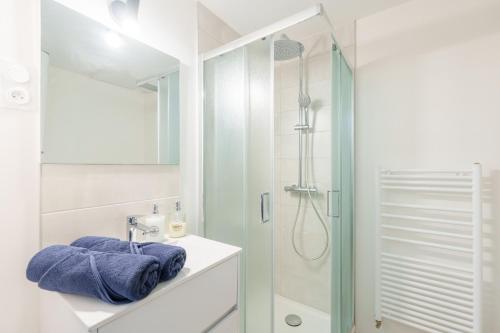 a bathroom with a shower and a sink at La Suite du Château B - En plein centre in Lunéville