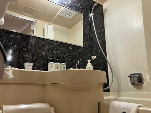 a bathroom with a sink and a mirror at HOTEL LiVEMAX Honhachinohe Ekimae in Hachinohe