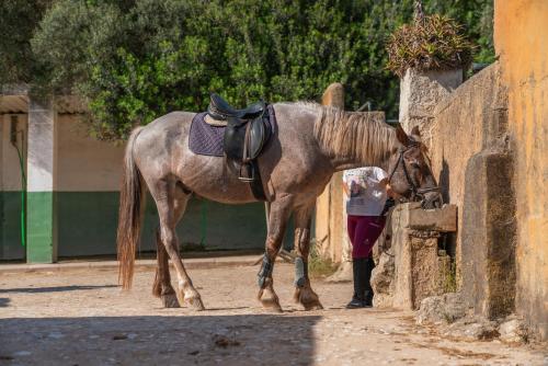 a woman standing next to a horse standing next to a wall at Finca Agroturismo Son Menut in Felanitx
