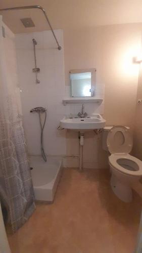 une salle de bain avec toilettes, lavabo et douche dans l'établissement Appart central Vatan-1 chb-wifi, à Vatan