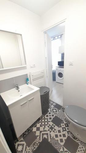 une salle de bain avec un lavabo et des toilettes dans l'établissement Studio cosy Le Barangeon à Vierzon - Wifi, à Vierzon
