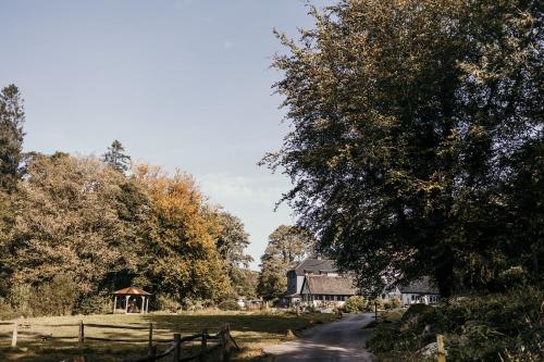 Příroda nedaleko apartmánu