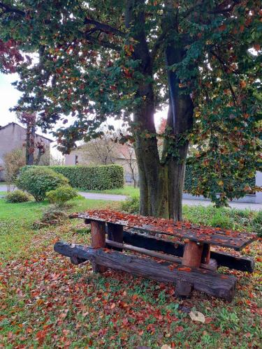 a wooden bench sitting in front of a tree at La Carpa e la Calendula - Appartamenti Vacanze in Niella Tanaro
