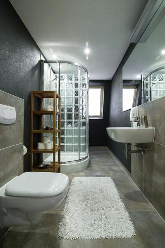a bathroom with a toilet and a sink at Słoneczny Pacyfik in Kościelisko