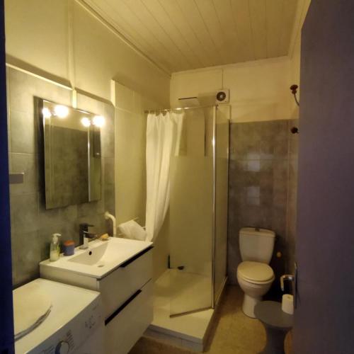 La salle de bains est pourvue d'un lavabo et d'une douche. dans l'établissement Le bastidon du grand chene, à Pontevès