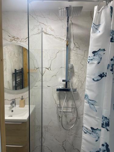 une salle de bain avec douche et lavabo dans l'établissement Chouette Appartement 21, à Dijon