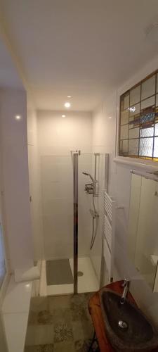 a bathroom with a shower and a sink at Chambres et table d'hôte Rabillou in Saint-Moreil