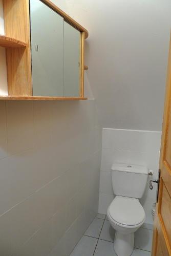 a bathroom with a toilet and a medicine cabinet at Gîte les Hortensias in Le Massegros
