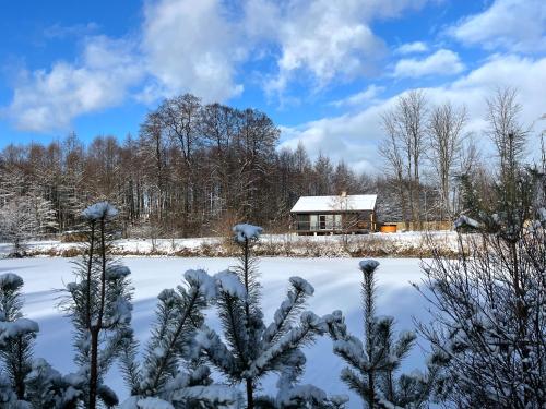 a cabin in the woods with snow on the ground at 3pokoje - Domek lub Pokój pod lasem na odludziu, jacuzzi, sauna, kominek, Roztocze in Susiec