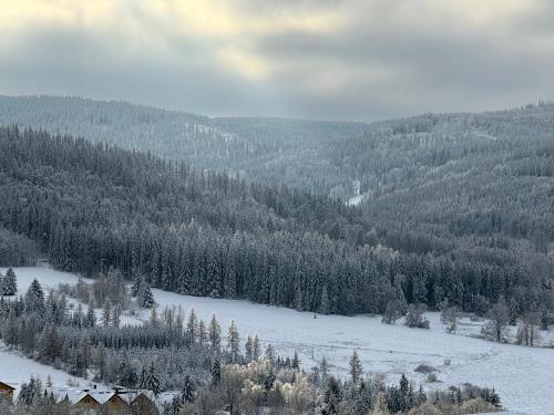 a snow covered hillside with a forest of trees at Złoty Sen Agroturystyka in Stronie Śląskie