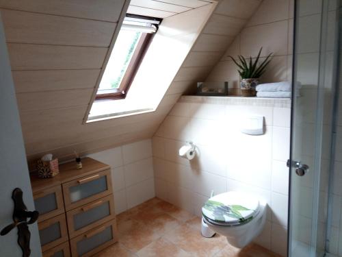 een badkamer met een toilet en een dakraam bij Ferienwohnung Helmers Gemütlich wie zuhause in Braunlage