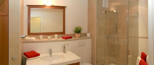 a bathroom with a sink and a shower with a mirror at Ferienwohnung Alberto in Bad Krozingen
