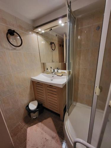 une salle de bain avec une douche, un lavabo et une baignoire dans l'établissement Maison de Campagne Les Loges de Brenne, à Ardentes