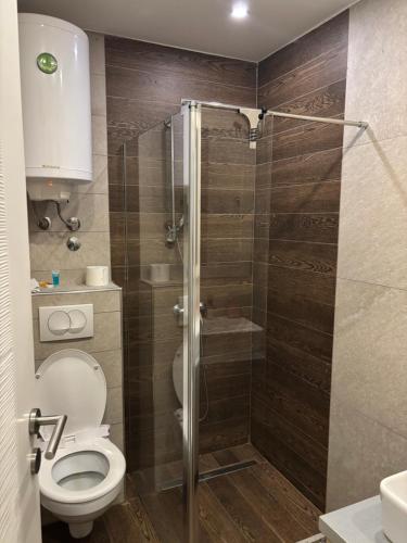 Kupatilo u objektu Kopaonik Apartmani Milmari - Katic