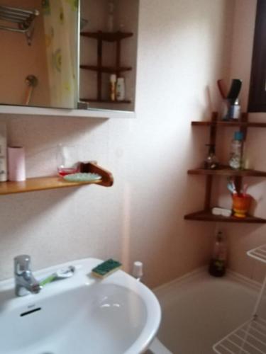 a bathroom with a sink and a bath tub at Large south-facing studio in Saint-Pierre-de-Chartreuse
