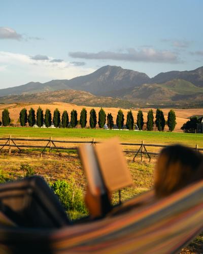 a person reading a book on a bench in a field at Natimby Lodge in Botrivier