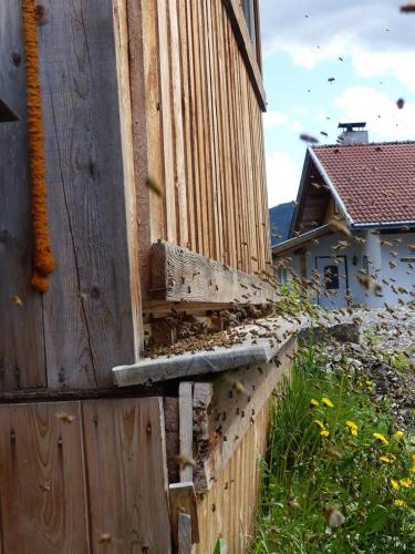 a wooden building with a bunch of bees on it at Multererhof in Nikolsdorf