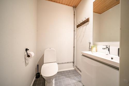 a bathroom with a toilet and a sink at Levillas Skimbaajankuja 6 as3 in Levi
