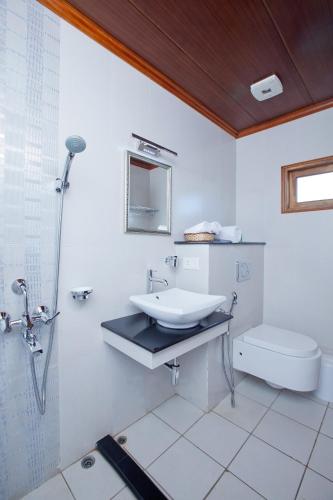 a bathroom with a sink and a toilet at Abad Premium House Boat in Kumarakom