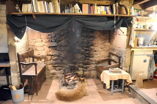 - un salon avec une cheminée en pierre, une table et un chien dans l'établissement Maison charmante à Meyrignac-l'Église avec cheminée, à Meyrignac-lʼÉglise