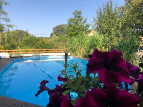 a vase of flowers next to a swimming pool at Les Lodges de Phanou in Prissac