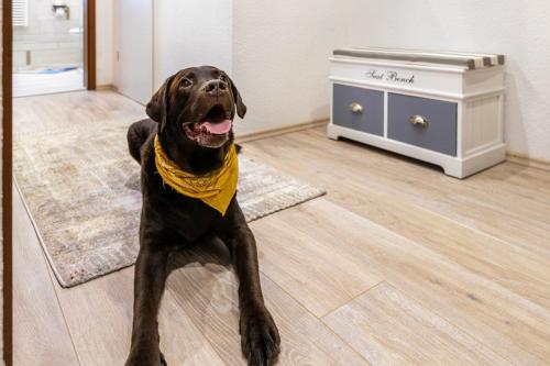 Domácí mazlíčci ubytovaní s hosty v ubytování Ferienwohnung Küstenliebe