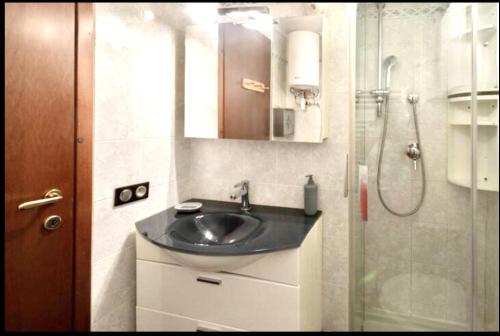 une salle de bain avec un lavabo et une douche en verre dans l'établissement Villeneuve studio, à Villeneuve-Loubet