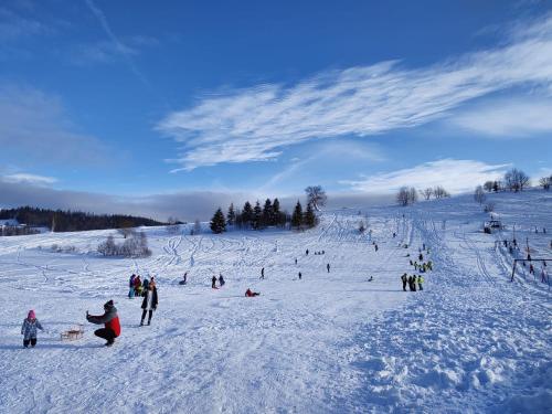 a group of people on a snow covered slope at Dzika Dziura z jacuzzi in Zawoja