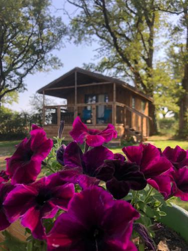 a group of purple flowers in front of a house at Les Lodges de Phanou in Prissac