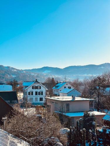 a view of a town in the snow with houses at Boutique Appartement mit Balkon in Lauterach