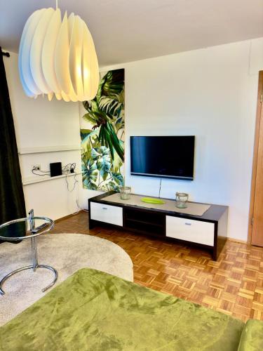 a living room with a flat screen tv on a wall at Boutique Appartement mit Balkon in Lauterach