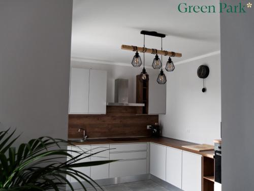 a kitchen with white cabinets and a potted plant at Green Park Rooms in San Donato Milanese