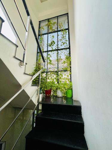 a stairway with a window and some plants at Meridin Regency in Ernakulam