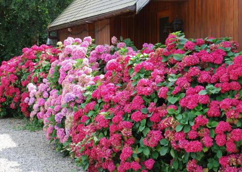Gallery image of Chambres d'hotes du creulet in Crouay