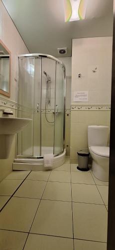 a bathroom with a shower and a toilet at Фільварок Кмитів in Kosharishche